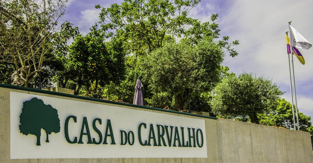 Casa Do Carvalho - Ponte De Lima Διαμέρισμα Εξωτερικό φωτογραφία